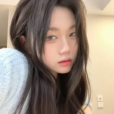 香港2023正版免费资料