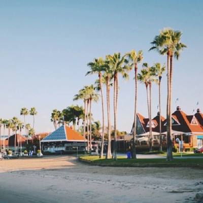 电子mg官方网站