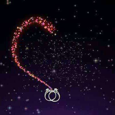 半岛综合app官网登录截图